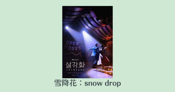 雪降花 Snowdropのキャスト あらすじ 視聴率 21年冬放送開始韓国ドラマ 韓国エンタメライブラリー